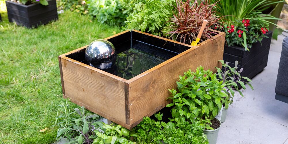 A mini pond planter DIY project in a garden.