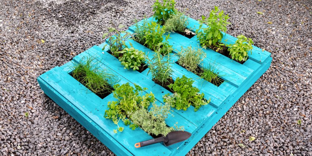 A herb garden DIY project made from an upcycled pallet.